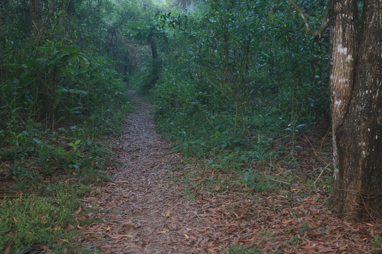 Arakkal Heritage Mararikulam Ngoại thất bức ảnh